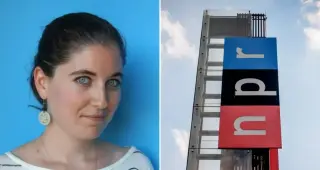 Rose Friedman, NPR Arts Editor Behind Books We Love, Dies at 38