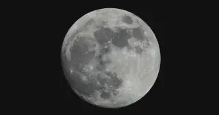 Apollo debris taught the Moon to ring and revealed its solid, fractured interior