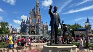 Disney Parks Roars to Record Revenue Amid Travel Slowdown