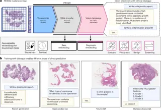 PRISM2 Ties Pathology Slides to Diagnostic Reasoning Through Clinical Dialogue