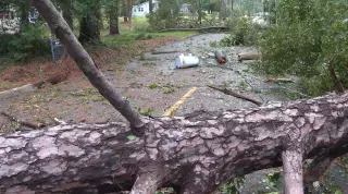 Isaias remnants trigger flood and tornado warnings in North Carolina after Gulf Coast landfall