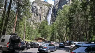 Yosemite issues rabies alert after bat found dead in Curry Village