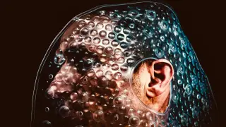 Humans Can Learn Echolocation in 10 Weeks, Reshaping the Brain