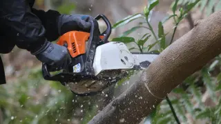 Oregon’s $12 Universal Chainsaw Sharpening Kit Offers Portable Safety for DIY Users