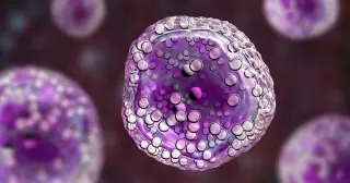 Explosive defense: neutrophils deploy DNA nets to trap invaders