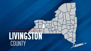 Rabid cow on Livingston County farm prompts post-exposure treatment for two farmers
