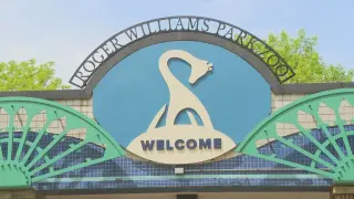 Potential rabid bat prompts health guidance at Roger Williams Park Zoo