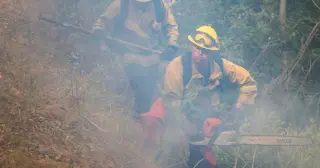 Officials warn unproven glutathione treatment for wildfire smoke exposure