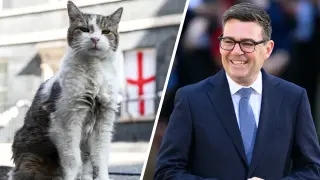 Larry the Cat Welcomes Burnham, Celebrating 15 Years at Downing Street