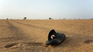 Desert tragedy: 49 Nigeriens perish after stranded truck runs out of water