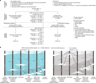 ctDNA clues anchor nivolumab’s benefit in perioperative NSCLC