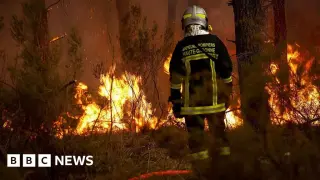 Wildfires in France and Spain Disrupt Summer Travel