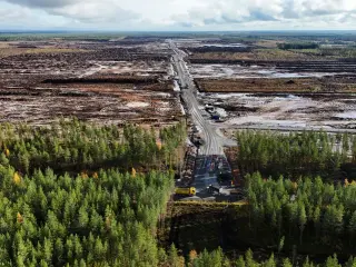 Finland Halts Google's €13B AI Expansion Over Environmental Breaches