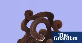 The bootlace worm: a 55-meter elastic predator that shoots toxic slime