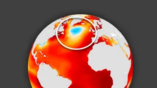 North Atlantic Cold Blob Signals Slower Ocean Conveyor