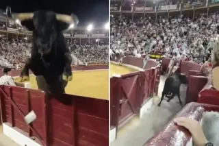Murcia Bullfighting Fair Ends in Chaos as 1,100-Pound Bull Leaps Barrier Twice