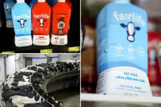Fairlife pauses US milk production after ransomware breach