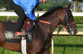 Experts Align on a Strong Travers Field