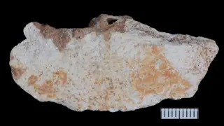 Denisovans Lived Among Yunnan Forests, New Cave Finds Reveal Their Life