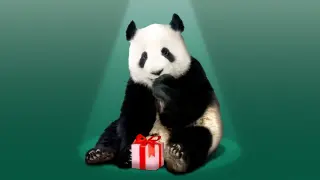 Xi Announces Panda Gift to Atlanta Zoo During White House Summit with Trump