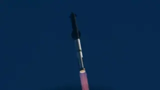 FAA Grounds SpaceX Starship V3 Pending Mishap Investigation