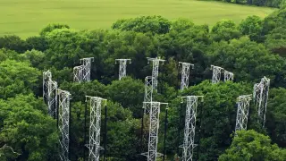 Oak Forests Could Store More Carbon as CO2 Rises, Through a Soil-Microbe Nitrogen Link