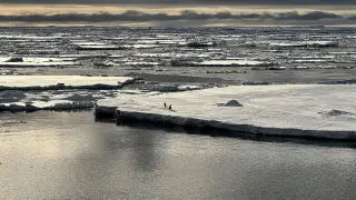 Antarctica’s sea ice declines in a triple-climate cascade, scientists say