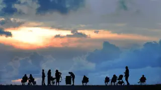 Florida Emerges as a Frontline in Slowing Biological Aging