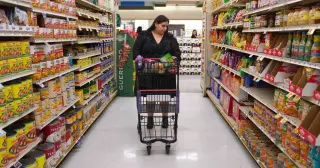 SNAP Enrollment Plummets as New Work Rules and Cost Shifts Disrupt Food Aid