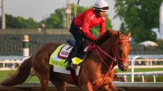 Derby Field At a Glance: 2026 Kentucky Derby Odds and Post Positions