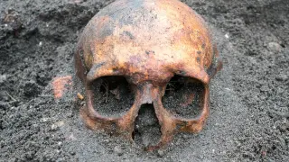 Ancient DNA Traces Malaria Behind 16th-Century Medici Death
