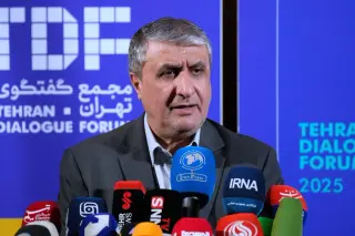Iran's nuclear chief to skip key IAEA conference in Vienna