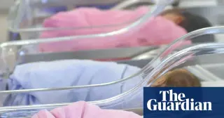 Singapore bets big on babies to counter its shrinking family tree
