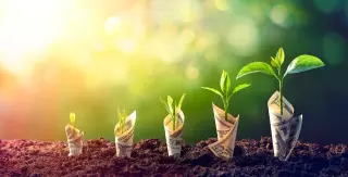 Infinimmune lands $75M Series A to push eczema antibodies forward