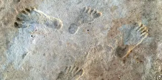 New Mexico Footprints Reveal 2,000-Year Human Presence Amid Ice Age Climate Volatility