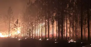 Wildfire Watch: Northeast Florida and Southeast Georgia Bracing for Fires and Evacuations