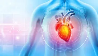 Study ties xylitol to higher risk of heart attack and stroke
