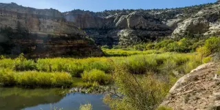 Trump Shrinks Utah Monuments, Sparking Backlash Over Public Lands