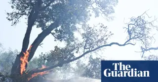 Big Sur Evacuations Under Timber Fire as Coast Highway Closes
