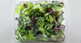 Bagged Greens Pose Real Safety Risks, Experts Warn