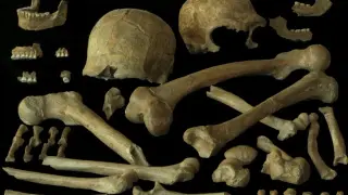 Diverse, Connected Neanderthals Challenge the Extinction Narrative