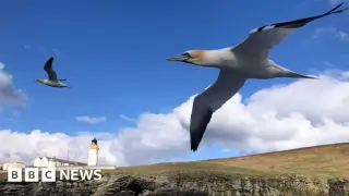 Scotland in Focus: Readers Share a Week of Snapshots