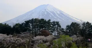 Father Leaves 7-Year-Old Alone 8,200 Feet Up Mount Fuji During Hike