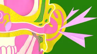 Protect Your Ears: Everyday Habits That Could Cost You Your Hearing—and How to Stop It
