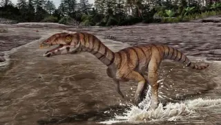 Triassic Two-Legged Crocodile Relative Unearthed in New Mexico