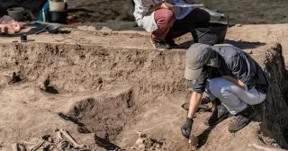 Scottish fossils push land-walker origin into Romer’s Gap by 14 million years
