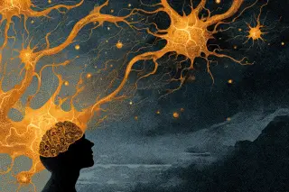 Calcium Sparks in Brain's Immune Cells Fuel Anxiety and Compulsive Grooming
