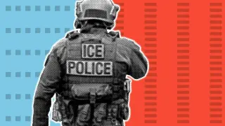 Whistleblower: DHS urged false access to voter records to target ‘unlawful voters’