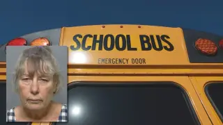 Florida school bus driver facing 29 felony neglect charges after train crash