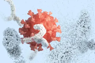 Nanodisc Platform Lets Antibodies See Viruses in Their True Membrane Context